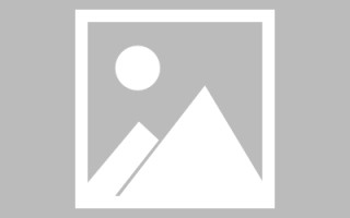 利津网页优化和设计人才（网站优化职位）